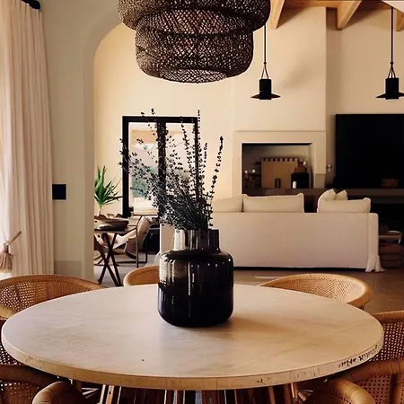 Arxadya In Mykonos For 8 Guests 天堂海滩